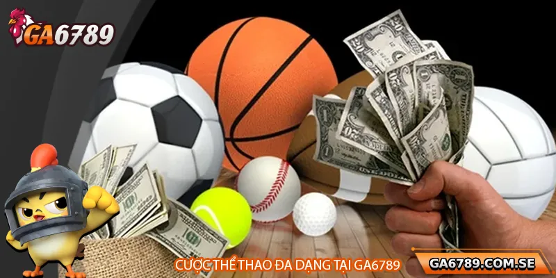 Cá cược thể thao đa dạng với tỷ lệ cược linh hoạt trên Ga6789