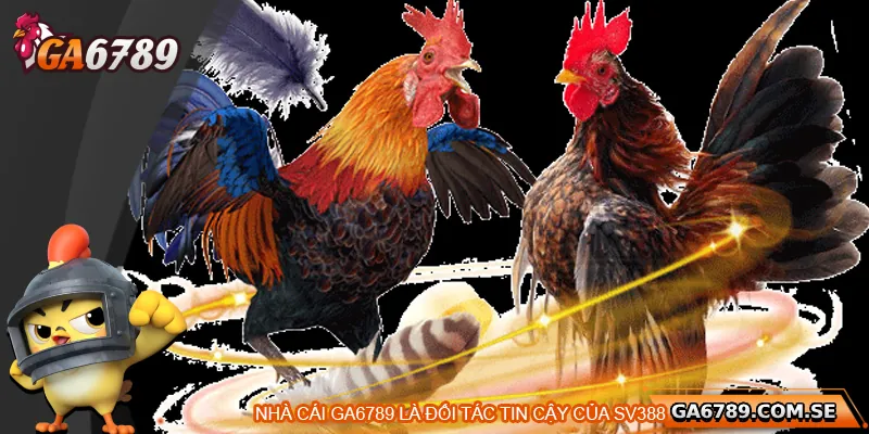Giới thiệu Ga 6789 - Đối tác cá cược của SV388