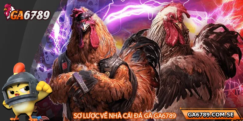 Giới thiệu sơ lược về nhà cái Ga6789